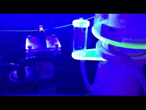 Bubble magus G9 over skimming part 4