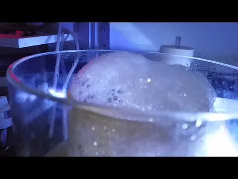 Bubble magus nac 7
