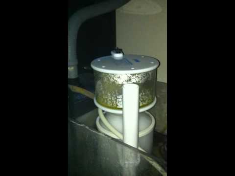 Bubble Magus NAC6 Skimmer