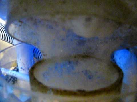 Bubble Magus NAC7 Day 1