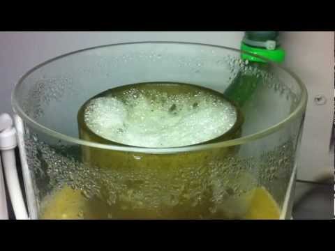 Bubble Magus NAC7 Skimmer Day 4