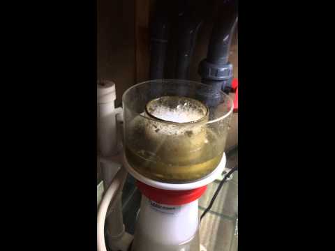Bubble magus nac7 toplama