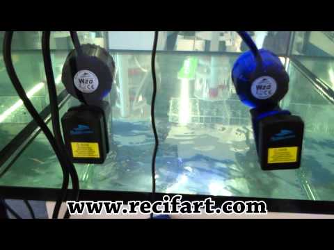 Bubble Magus pompes W20