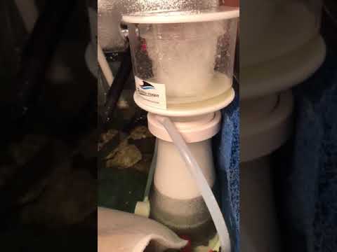 Bubble magus protein skimmer