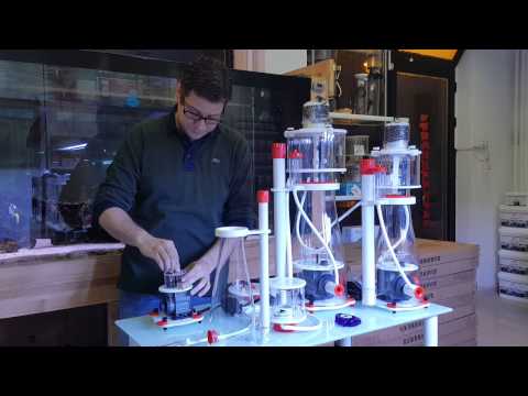 Bubble Magus Protein Skimmer Curve serisi