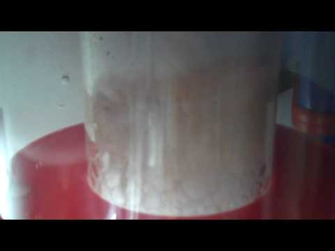 Bubble Magus Protein skimmer part 3