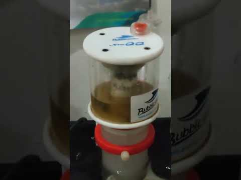 Bubble Magus QQ Nano
