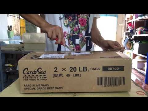 Bubble magus QQ2 (unbox)