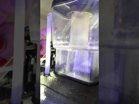 Bubble Magus QQ3 External Protein Skimmer Review Part 3