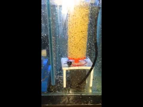 Bubble magus reactor