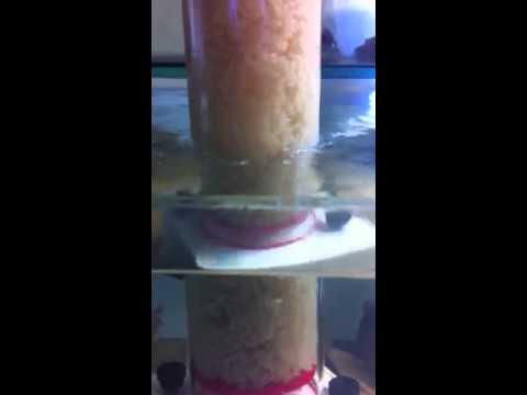 Bubble magus reactor with NPX bio plastics
