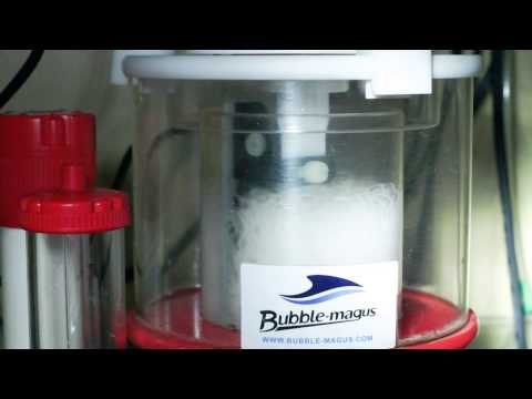Bubble Magus Skimmer Automatic Cleaning System Working
