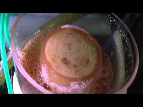 Bubble Magus skimmer