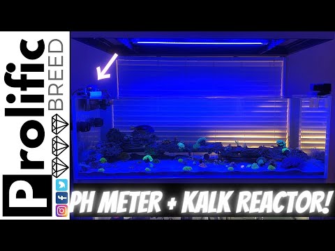 BUDGET REEF TANK BUILD | ADDING A PH METER AND KALK REACTOR | WATERBOX