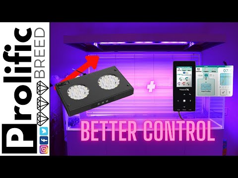 BUDGET REEF TANK LED LIGHTING | NICREW HYPER REEF 100 150 | KESSIL SPECTRAL X CONTROLLER | WATERBOX