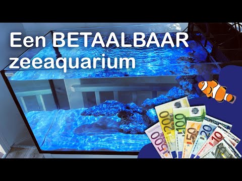 BUDGET Zeeaquarium Kopen & Opstarten! (Aquaja Peninsula 190L)