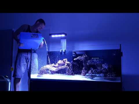 Building a Red Sea Reefer 525 xl