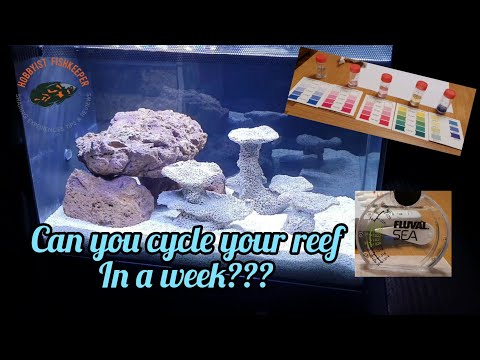Can you cycle your aquarium in a week? Fluval 13.5 Aquascape and first week water testing