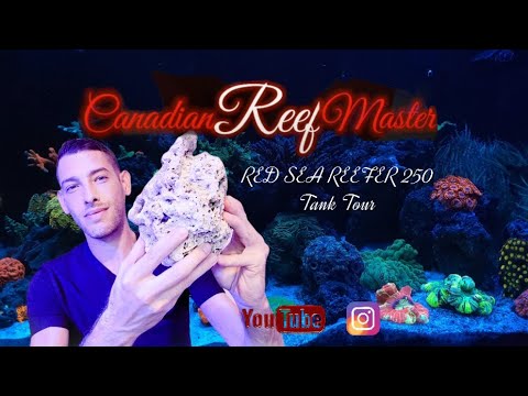 Canadianreefmaster Red Sea Reefer 250 Coral Reef Tank Tour, GHL proflux 4.0 & kh director