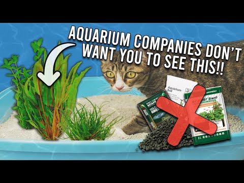CAT LITTER : Is it a Magic Aquarium Substrate Secret!?