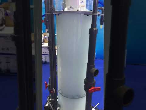 CIPS 2019: Bubble Magus Commercial Skimmers