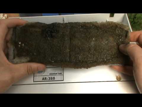 Cleaning An Aqua One Aquastyle (AR) Trickle Filter