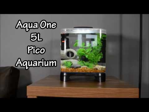 Clearancedeal04 – Aqua One Pico 5L Betta Aquarium