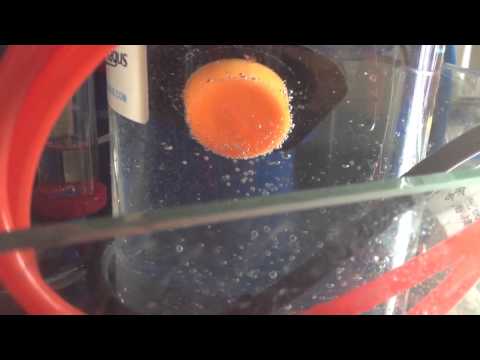 Co2 bubble magus