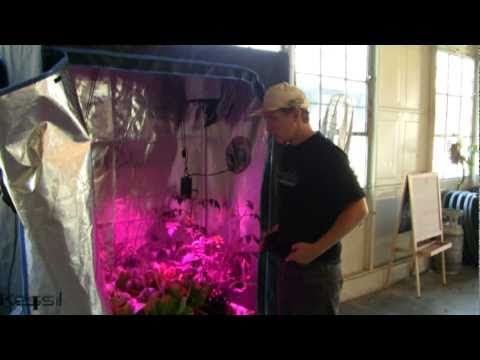 Complete Garden Supply + Kessil H150 on Lettuce