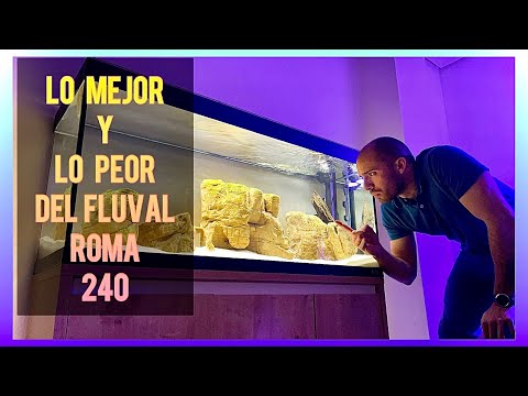 CONCLUSIONES TRAS 60 DIAS DE USO DEL FLUVAL ROMA 240