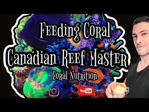 Coral Nutrition; Feeding Coral in the Red Sea Reefer 250 and 10 Gallon Nano Reef Aquarium