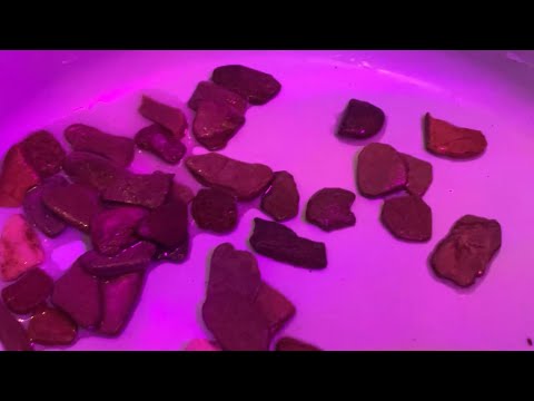 'Corona' Juwel Aquarium Setup Part 5 #00005