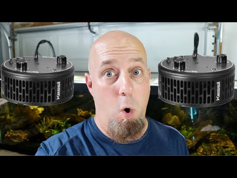 Could These Be The BEST Aquarium LIGHTS? Kessil A360X Tuna Sun LEDS For Fish Tanks! Planted Aquarium