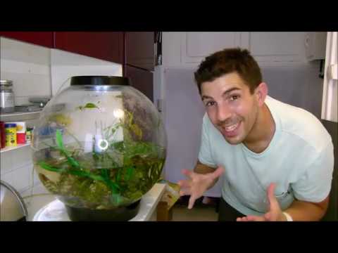 CRASH TEST : BIORB SCRATCH REMOVER enlever les rayures sur un aquarium BIORB Acrylique