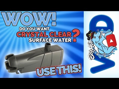 Crystal Clear Surface Water using the Eheim Skim350 • Product Review | Big Al's