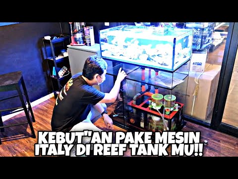 CURVE ELITE SERIES | INTERNAL PROTEIN SKIMMER | BUBBLE MAGUS