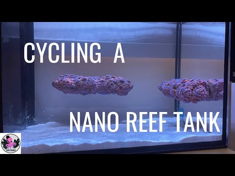 Cycling A Nano Reef Tank | Innovative Marine Nuvo Fusion 14 Gallon Peninsula