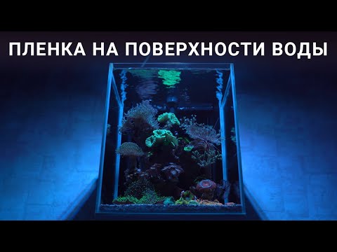 Апгрейд фильтра  AQUAEL Versamax FZN-3 и как я избавился от бактериальной пленки на поверхности воды