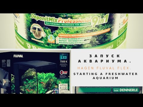 Запуск аквариума. Hagen Fluval Flex