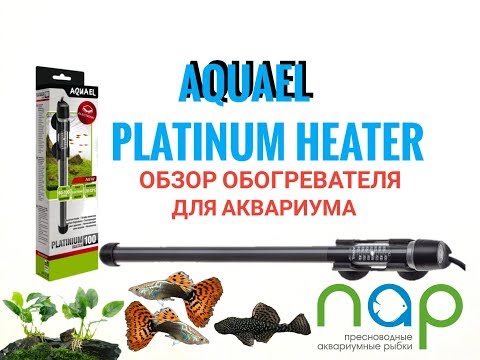 Обзор нагревателя Aquael Platinium