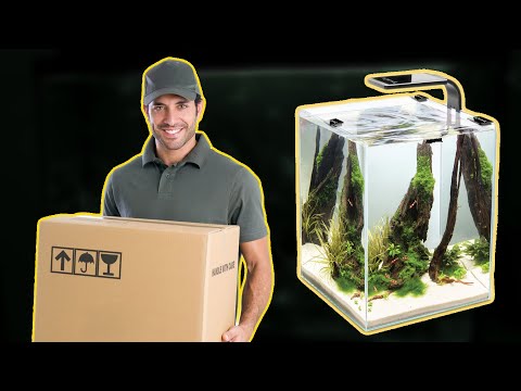 ПОДАРИЛИ АКВАРИУМНЫЙ  НАБОР AQUAEL SHRIMP SET SMART 30!