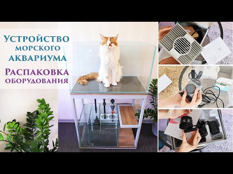 Устройство морского аквариума. Распаковка оборудования: Reef Octopus, Aquaillumination, Eheim.