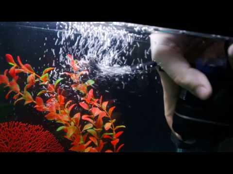 Фильтр для аквариума – aquael fan micro ОБЗОР