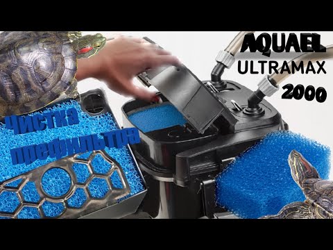 Чистка префильтра AQUAEL ULTRAMAX 2000 красноухие черепахи