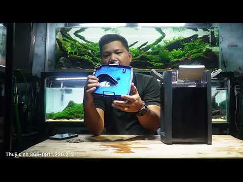 Đập Hộp Lọc Thùng Chính Hãng Bảo Hành 03 Năm-Eheim Pro 4+ 600 Quick Unboxing And Overview