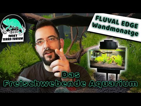 Das freischwebende Aquarium Fluval Edge Wandmontage hängend