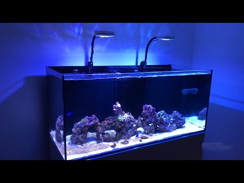Day 5 – Red Sea Reefer 350