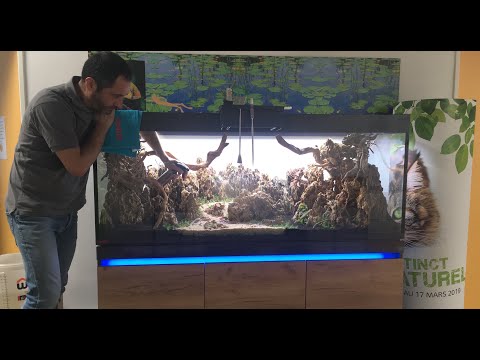 Décor d'aquarium aquascapé : EHEIM Incpiria 530 chez ANIMALIS – Par Laurent Garcia