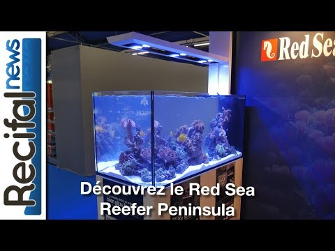Découvrez le Red Sea Reefer Peninsula