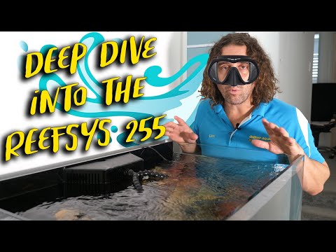 Deep Dive into the Aqua One ReefSys 255